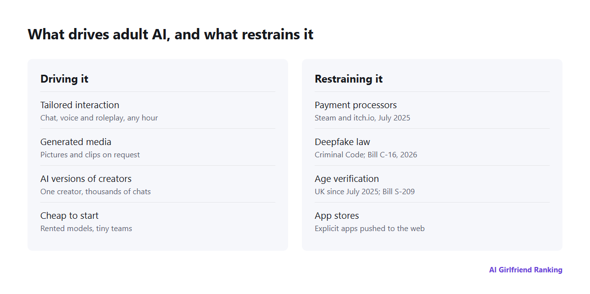 Forces shaping AI in the adult industry: personalisation, generated media and AI clones pushing it forward; payment processors, deepfake laws, age checks and app stores pushing back